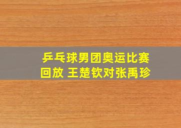 乒乓球男团奥运比赛回放 王楚钦对张禹珍